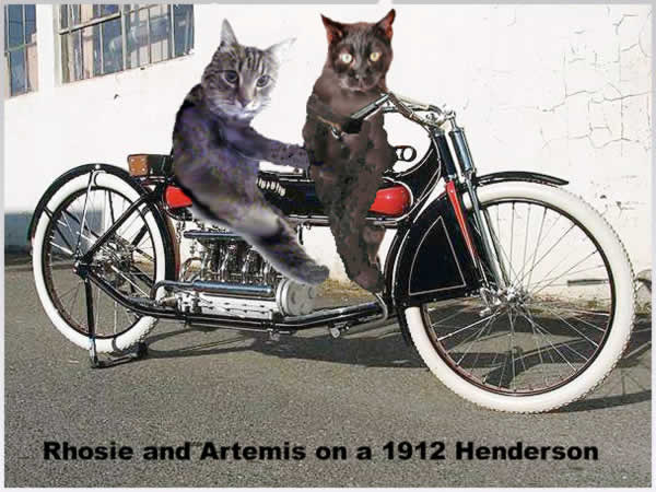 Desfurados kitties