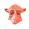 noseface mask