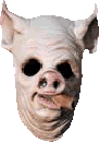 piggy