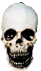 skull mask