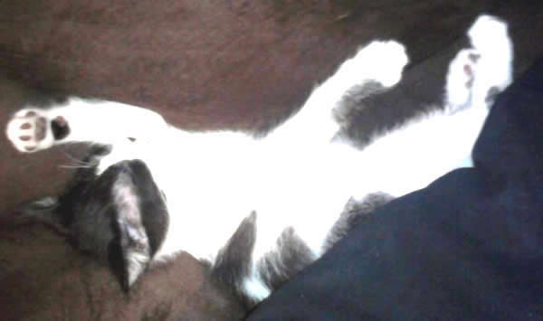 sleep