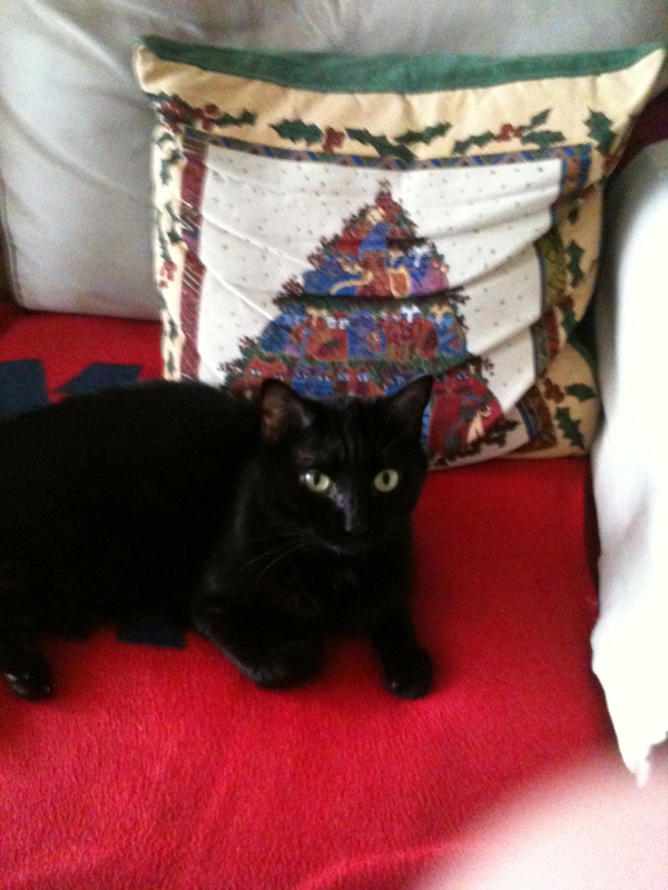 Cleopatra