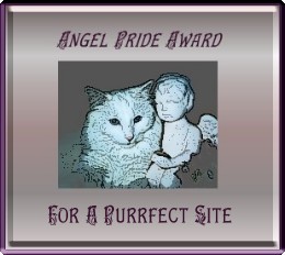 angel pride award