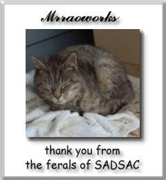 Ferals at SADSAC