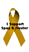 spay and neuter