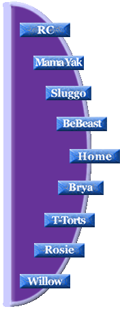 nav bar